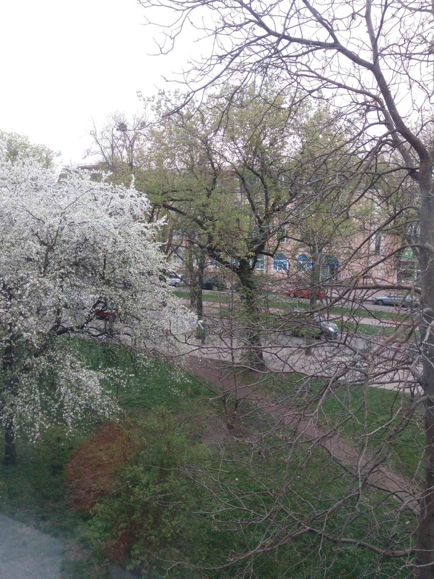 Apartment студія в центрі міста філармонія Хмельницький